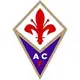 voetbalreizen fiorentina