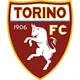 voetbalreizen fc torino