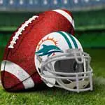 miami dolphins rejser